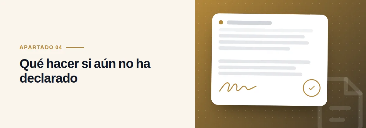 Qué hacer si aún no ha declarado